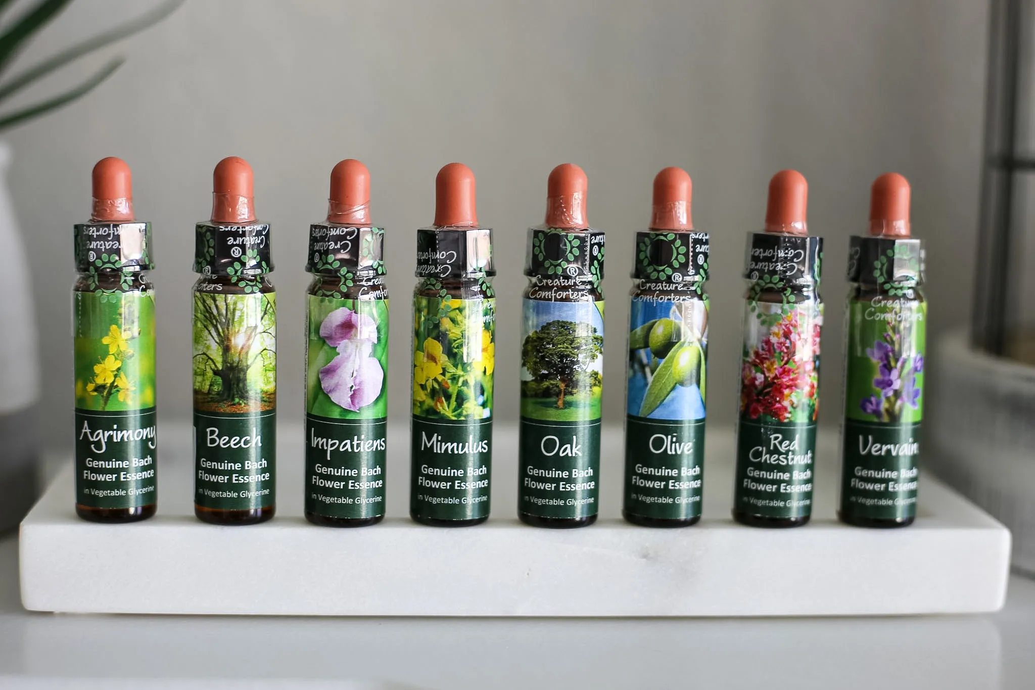 Bach flower essences